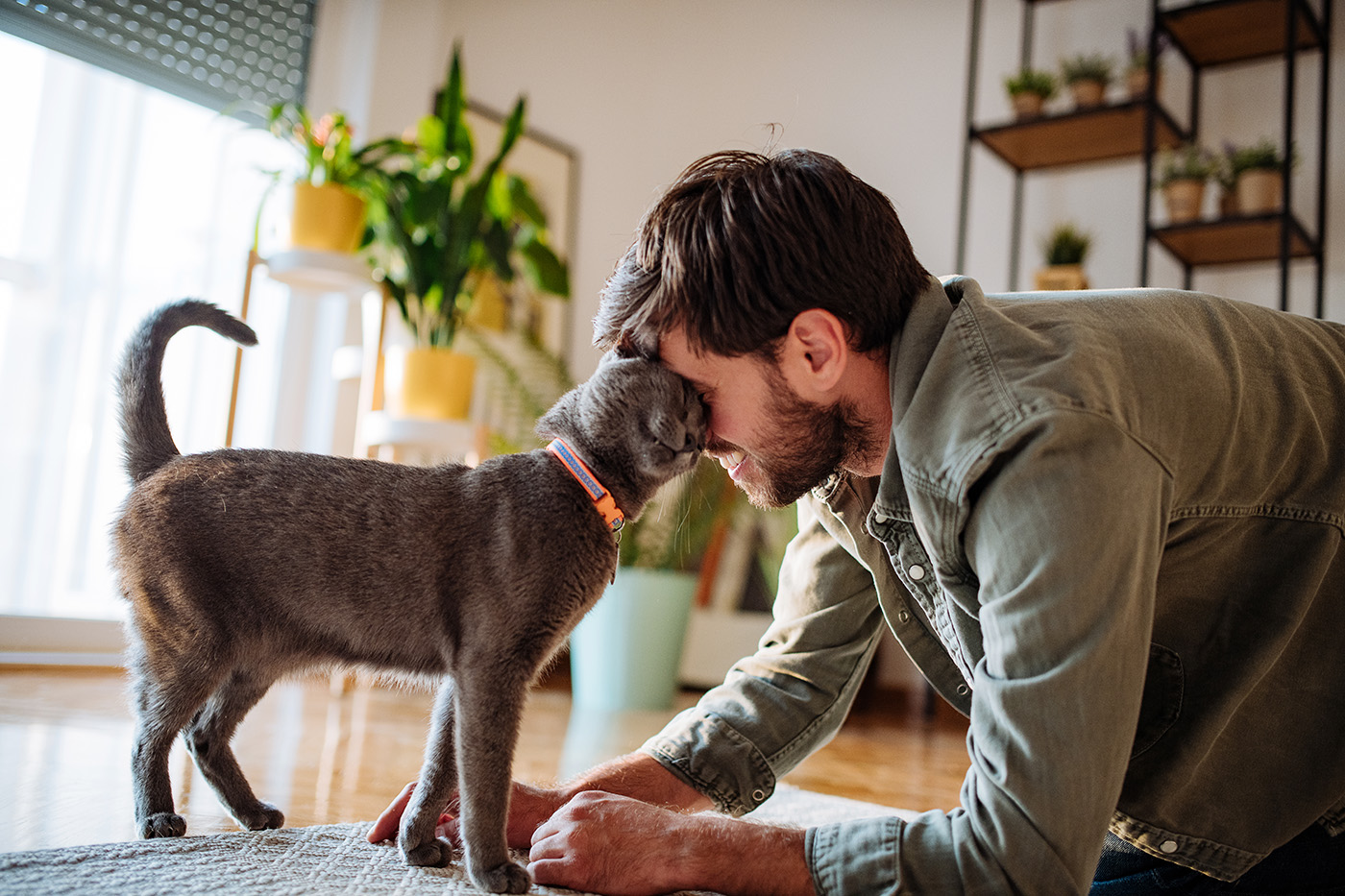 A man crouched on the living room floor with his pet cat. pet insurance