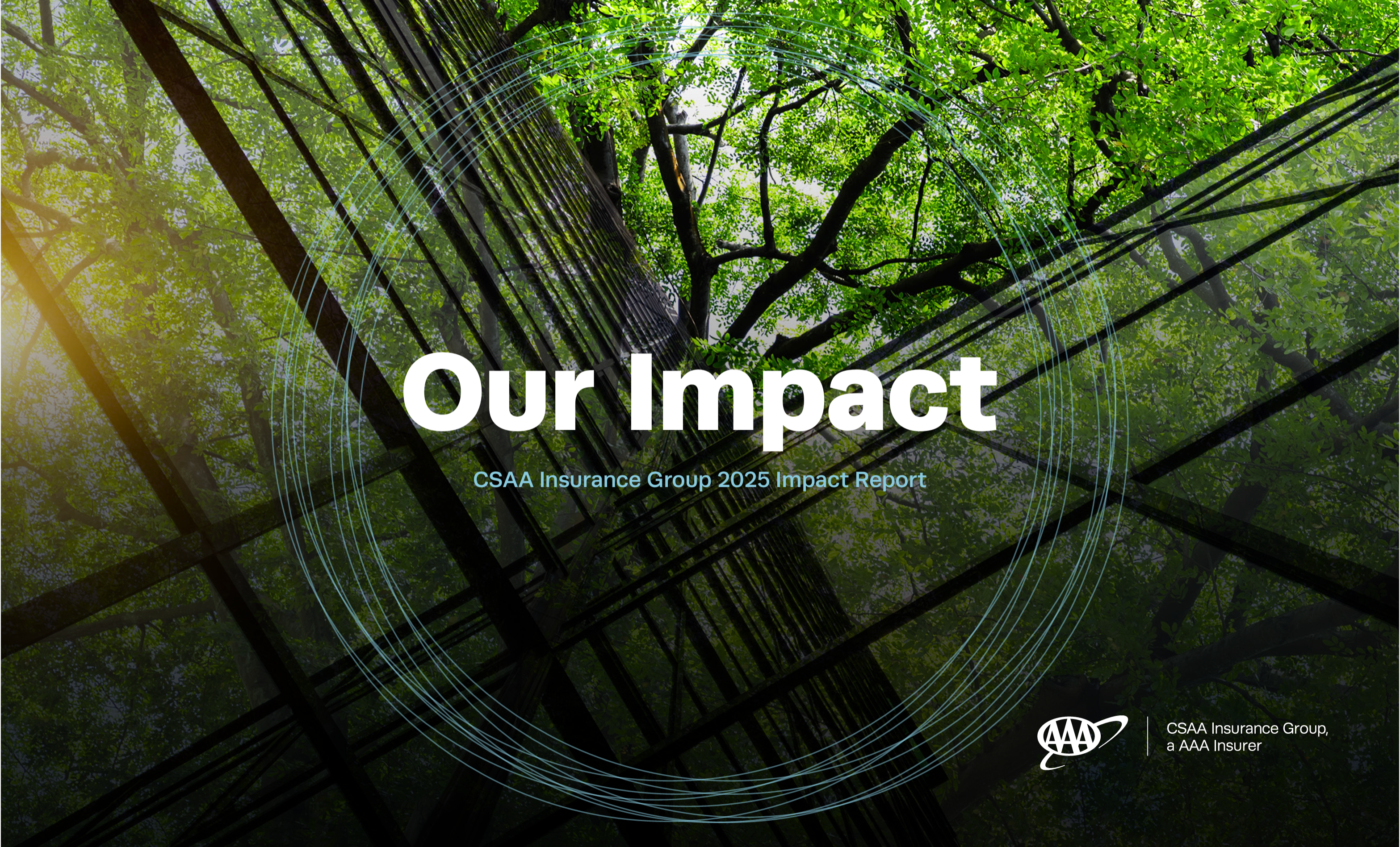 CSAA 2025 Impact Report